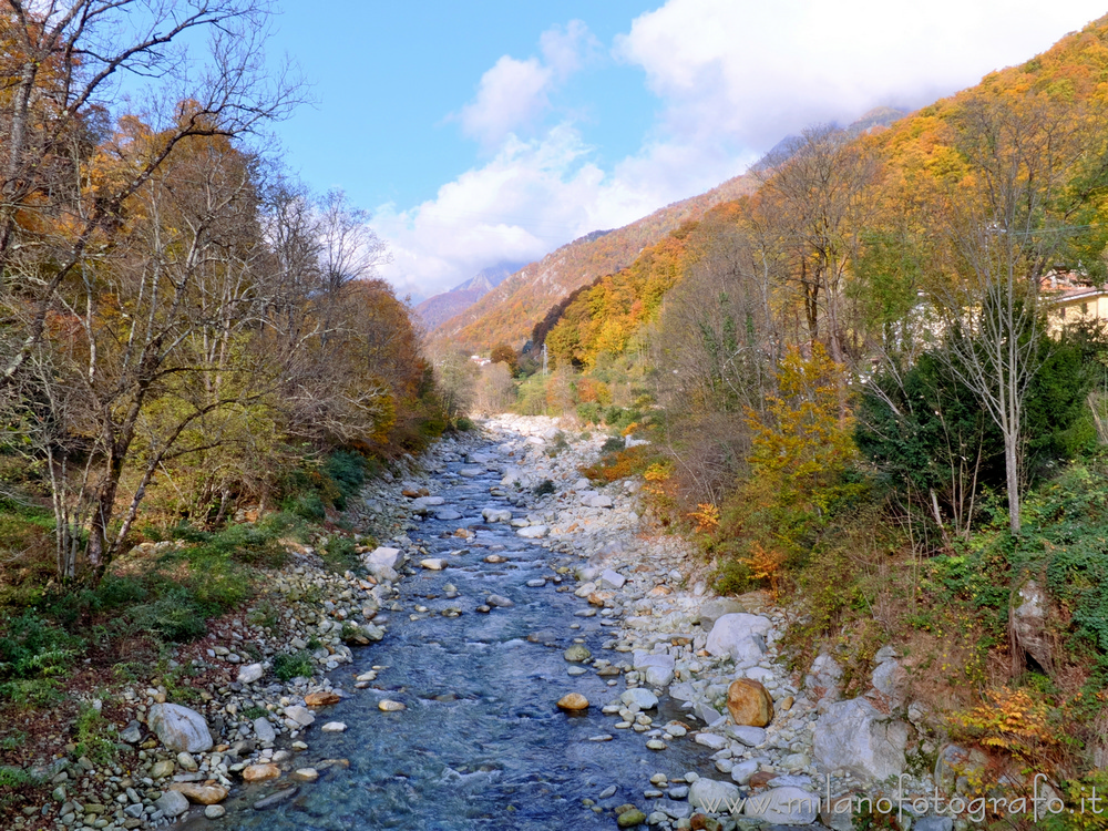 Campiglia Cervo (Biella) - Vista autunnale sul fiume Cervo dal ponte vecchio guardando verso monte